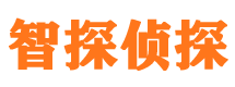 平安市出轨取证